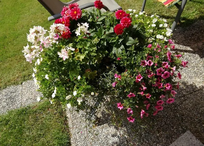 Appartement Haus Waldfriede Sankt Leonhard im Pitztal