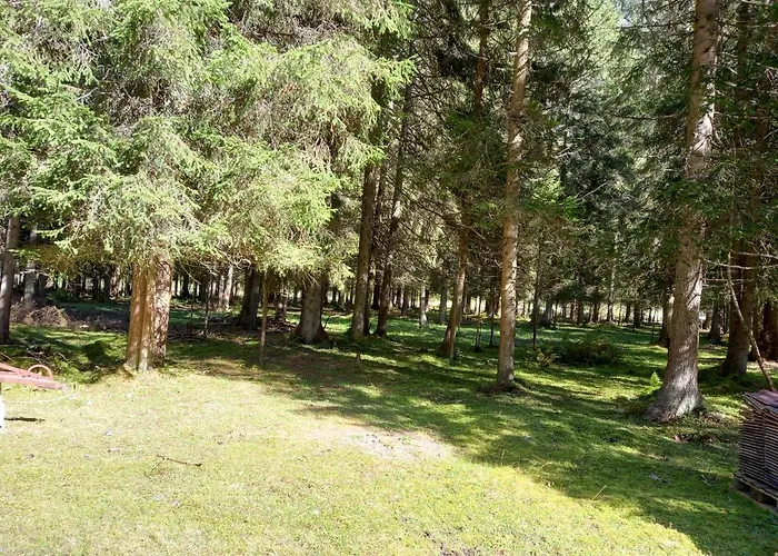 Apartamento Haus Waldfriede *