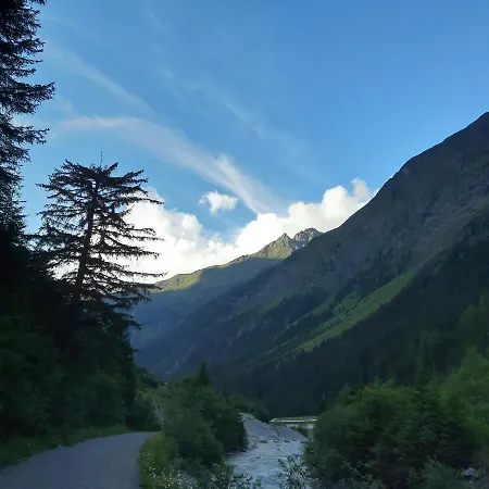 Daire Haus Waldfriede Sankt Leonhard im Pitztal