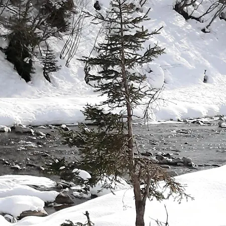 Haus Waldfriede * Sankt Leonhard im Pitztal